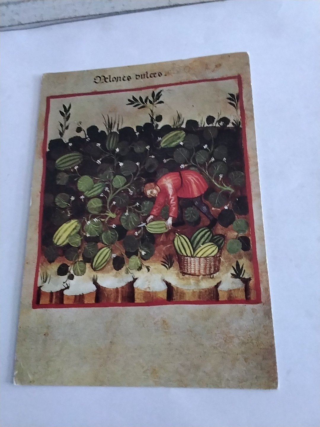 Oude Ansichtkaart: Melones Dulces - UNICEF, Ophalen of Verzenden, 1960 tot 1980, Gelopen
