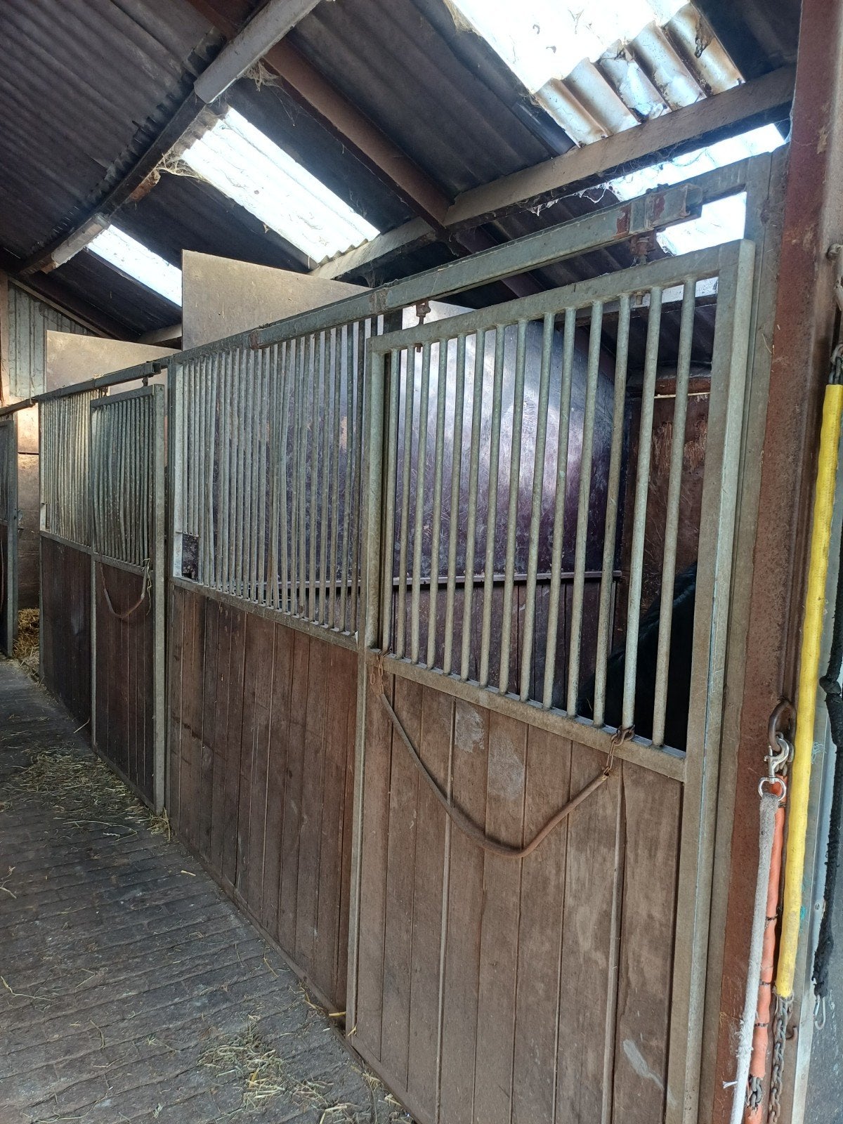Stal wanden, Dieren en Toebehoren, Stalling en Weidegang