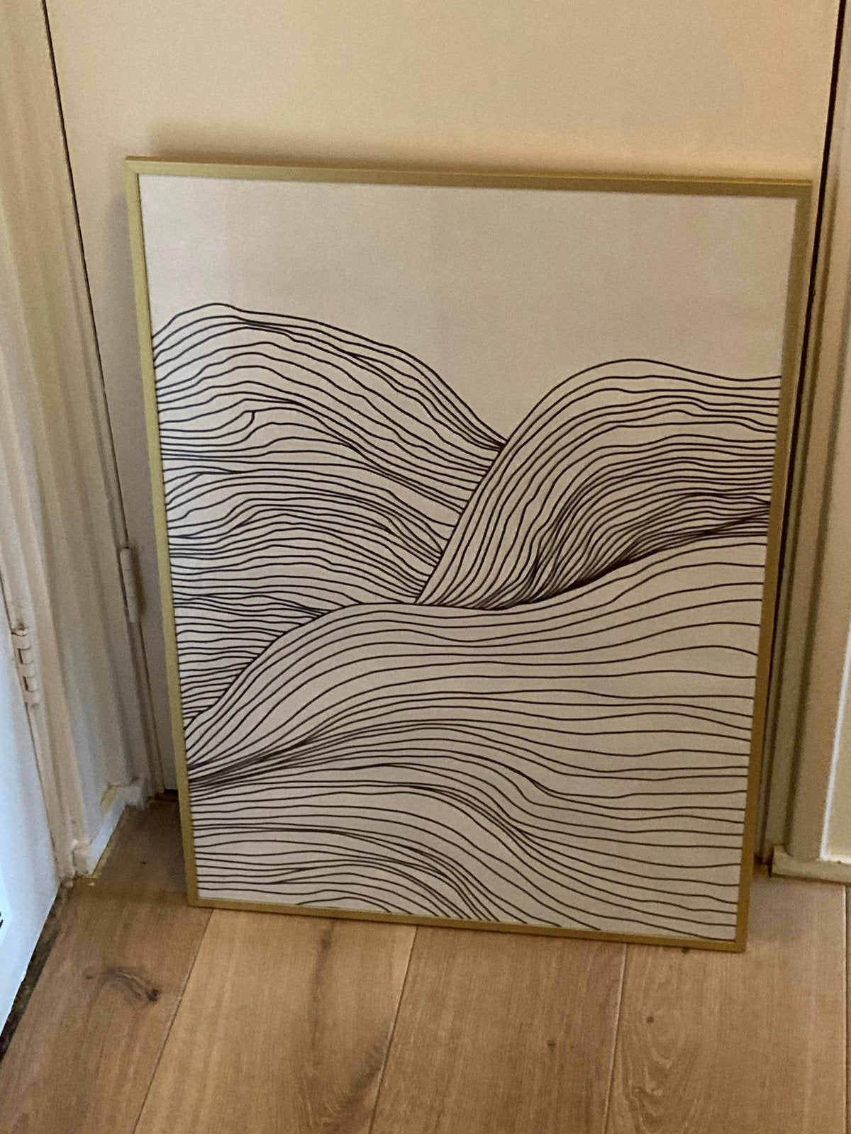 Goudkleurige lijst Ikea Lomviken met print 51,5x71,5 cm, Ophalen, 50 – 75, 50 tot 75 cm, Print