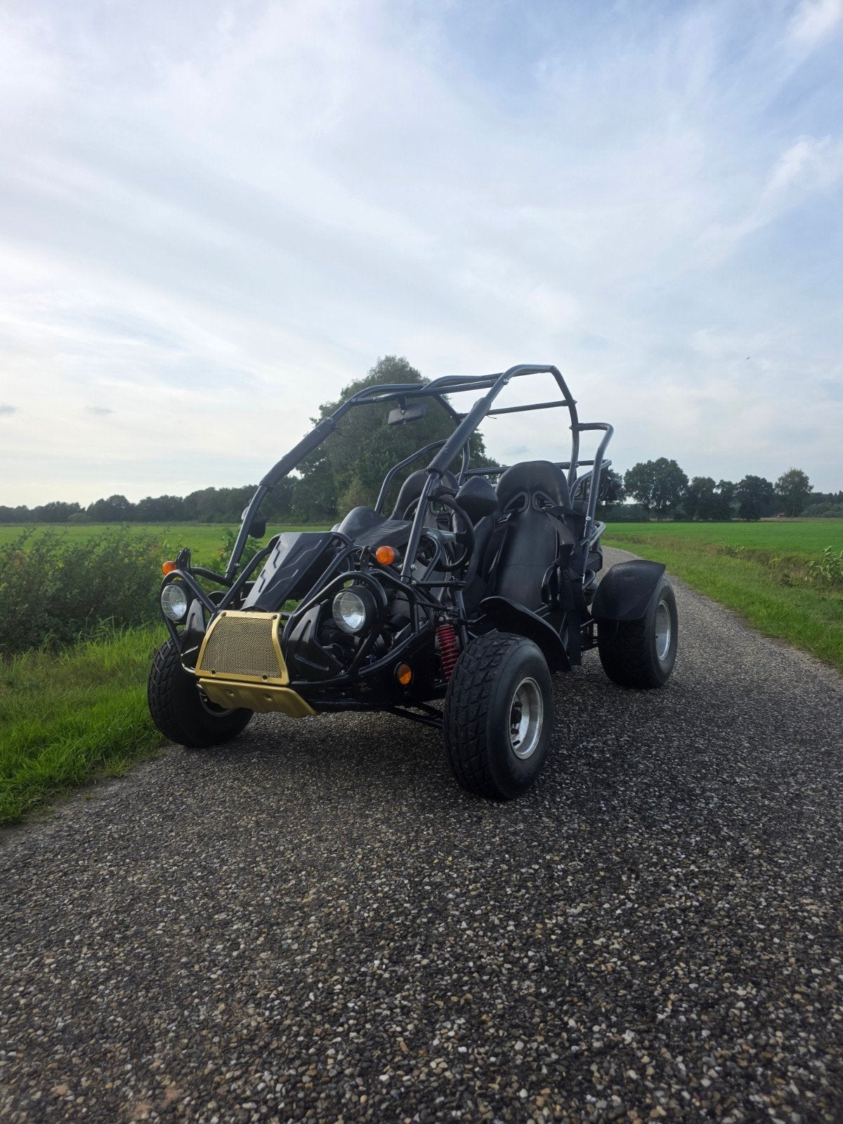 Stoere Go-Kart / Buggy op kenteken - Klaar voor avontuur!, Motoren, Quads en Trikes, 1 cilinder, 250 cc, 12 t/m 35 kW
