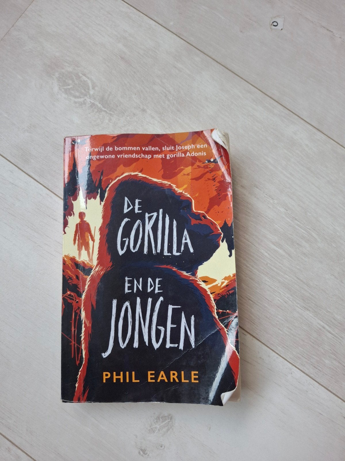 Phil Earle - De gorilla en de jongen, Ophalen of Verzenden, Zo goed als nieuw, Phil Earle; Hilke Makkink