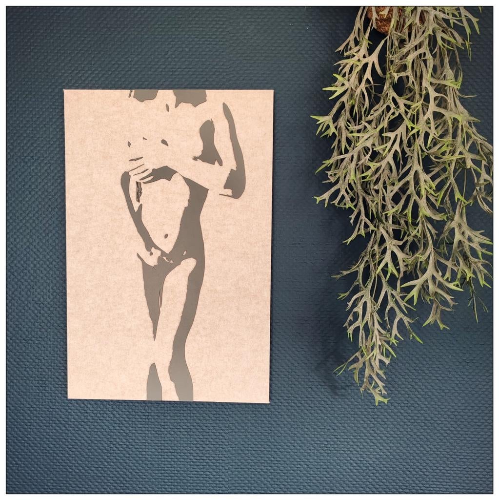 Akoestische bodyscape panelen te koop, Antiek en Kunst, Ophalen of Verzenden