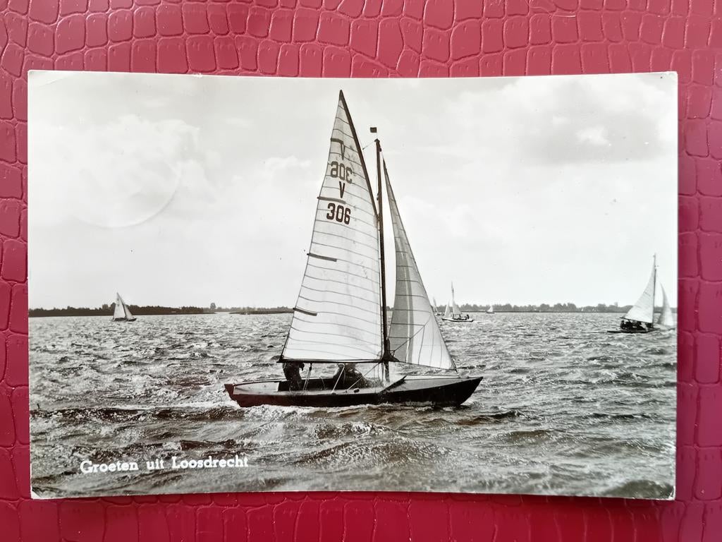 Ansichtkaart Loosdrecht, Ophalen of Verzenden, Noord-Holland