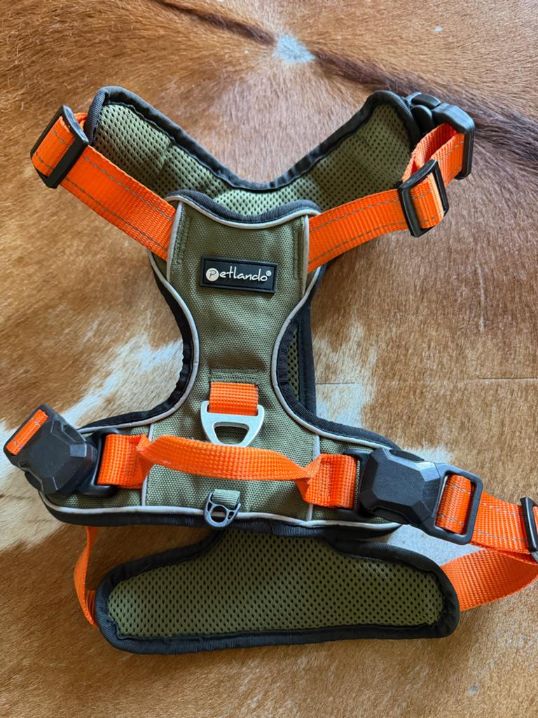 Petlando tuig/ harnas borstomtrek is 56/68 cm, Ophalen of Verzenden