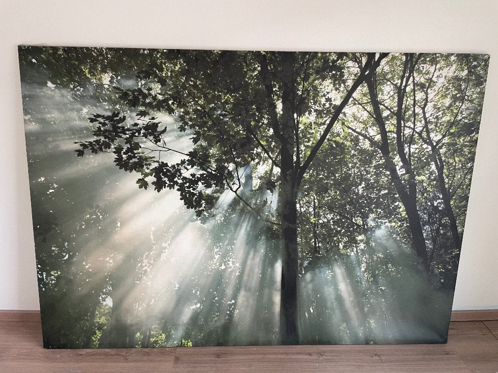XL IKEA Canvas Schilderij 200x140 – Bos, Ophalen, Zo goed als nieuw, 125 cm of meer, Schilderij