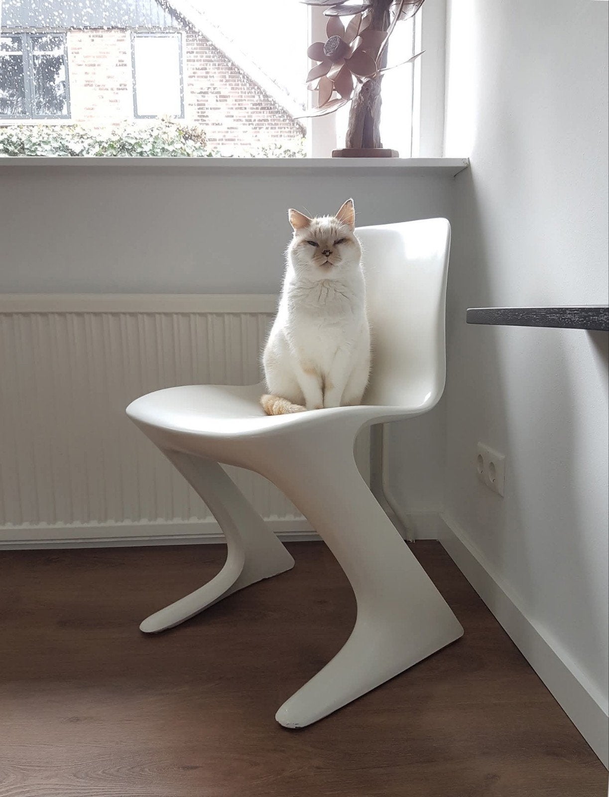 Vintage Ernst Moeckl Z-chairs (6 stuks), Ophalen, Gebruikt