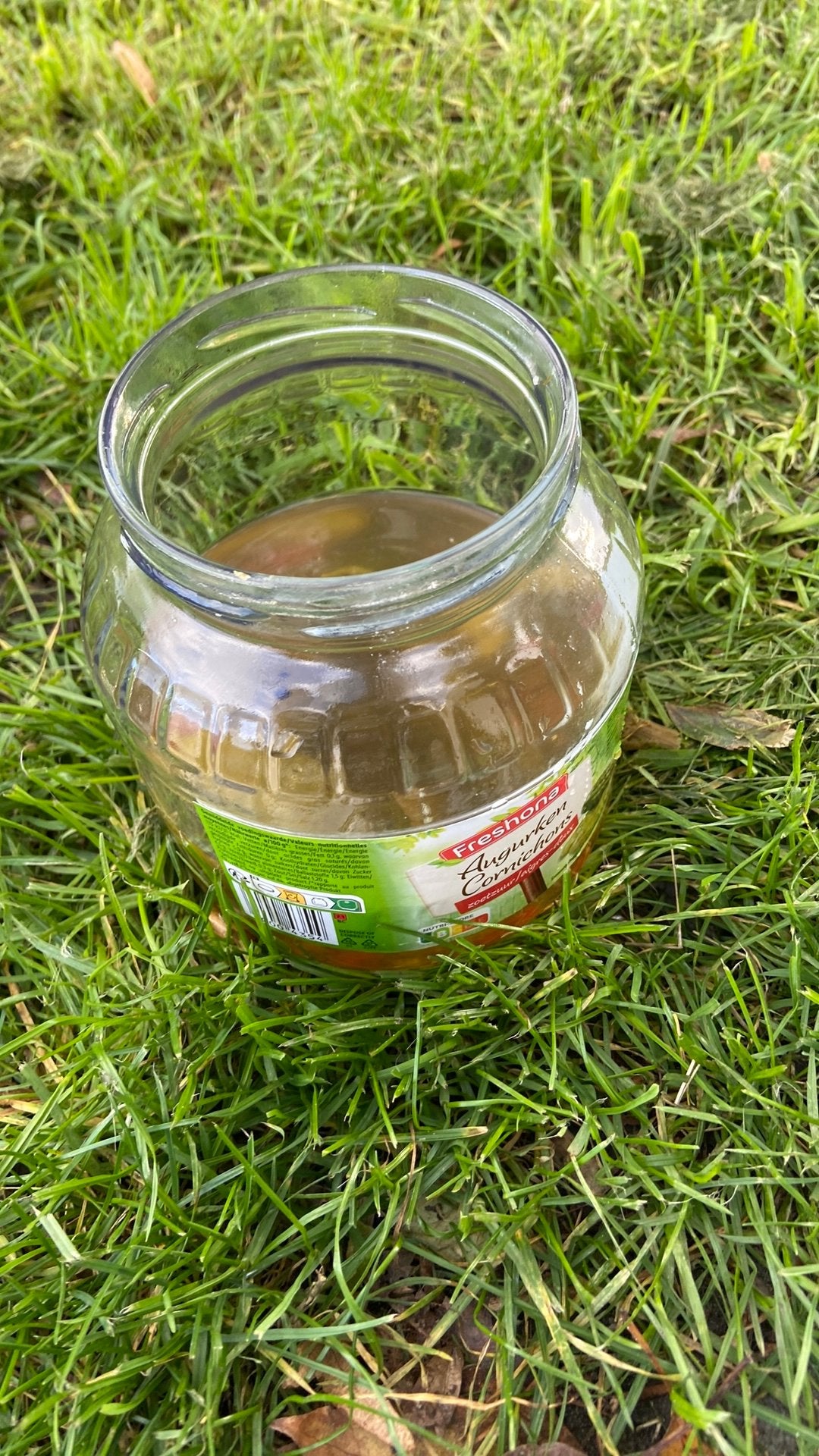 Heerlijke pickels, Ophalen of Verzenden, Overige soorten