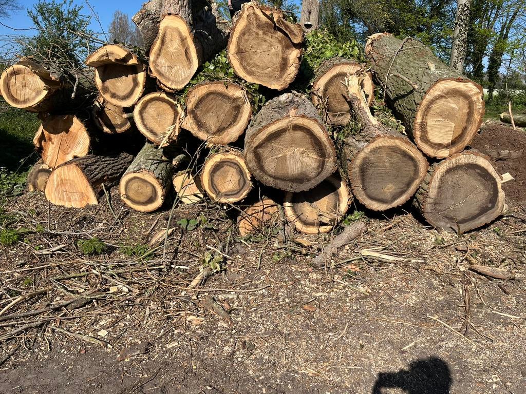 Vers populierenhout, Tuin en Terras, Haardhout, 6 m³ of meer, Ophalen