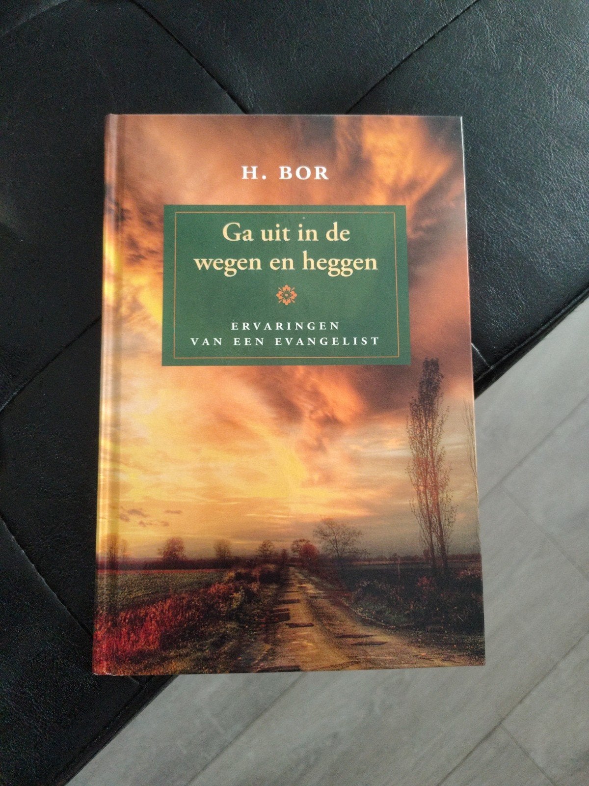 Ga uit in de wegen en heggen - Ervaringen van een evangelist, Boeken, Ophalen of Verzenden