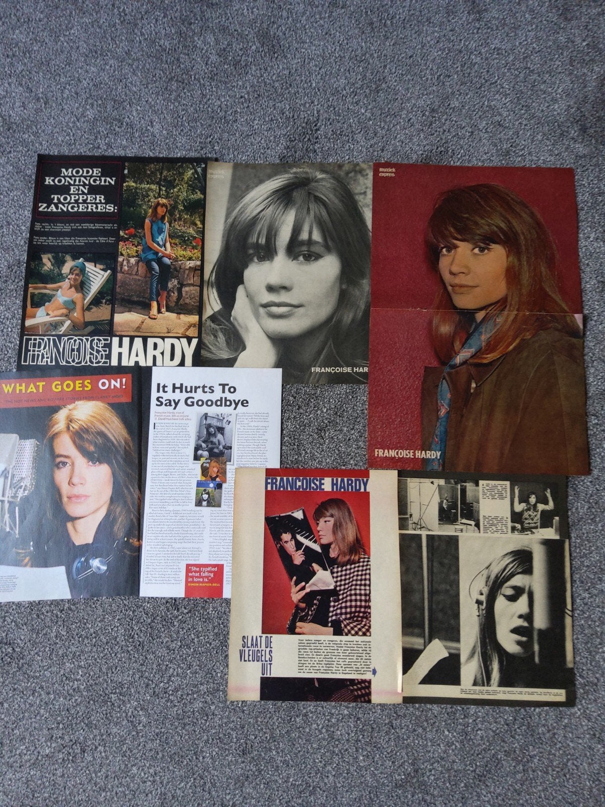 Françoise Hardy: muziek artikels en poster, Ophalen of Verzenden, Poster, Artwork of Schilderij
