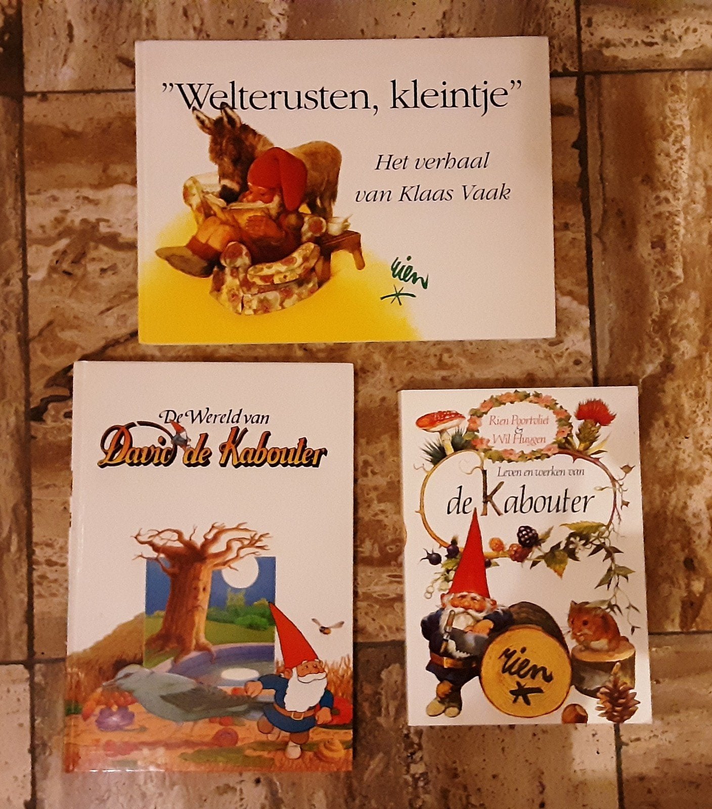 David de kabouter.  Van Rien Poortvliet., Boeken, Ophalen of Verzenden, Gelezen