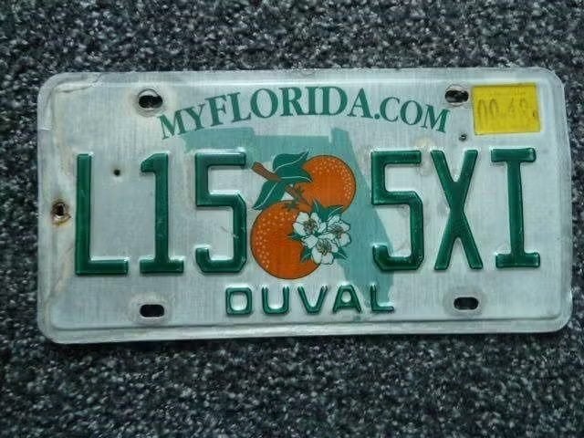 Kentekenplaat licenseplate Florida Duval USA, Verzenden, Gebruikt, Auto's