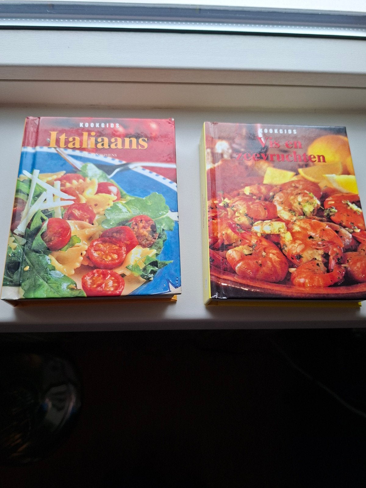 Kookgids Italiaans & Vis en zeevruchten - Nieuw, Boeken, Ophalen of Verzenden, Nieuw, Italië
