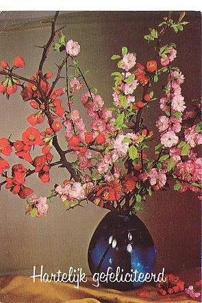 Ansichtkaart 	Bloemen	Prunus, Verzenden, 1960 tot 1980, Gelopen, Natuur