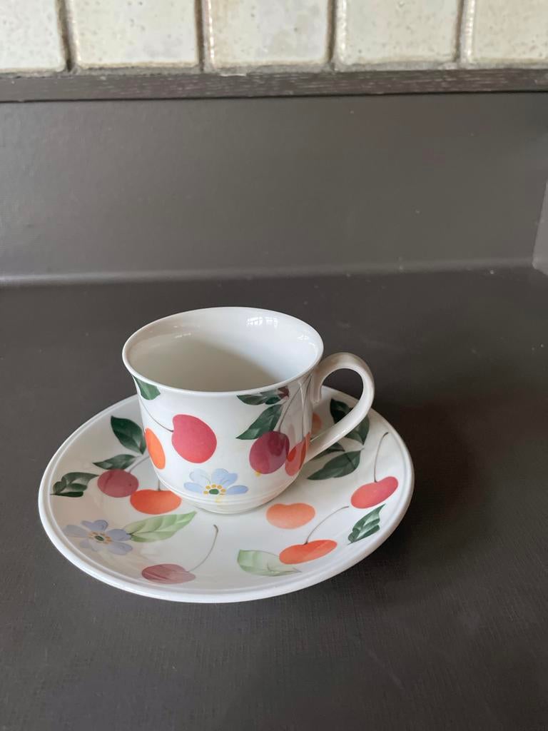 Vintage Villeroy & Boch Sere Amigo Kop en Schotel - Nieuw, Ophalen