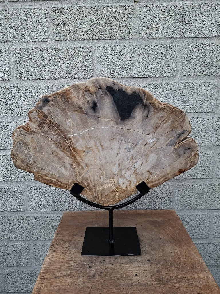Versteend hout op standaard no D, Ophalen of Verzenden, Mineraal