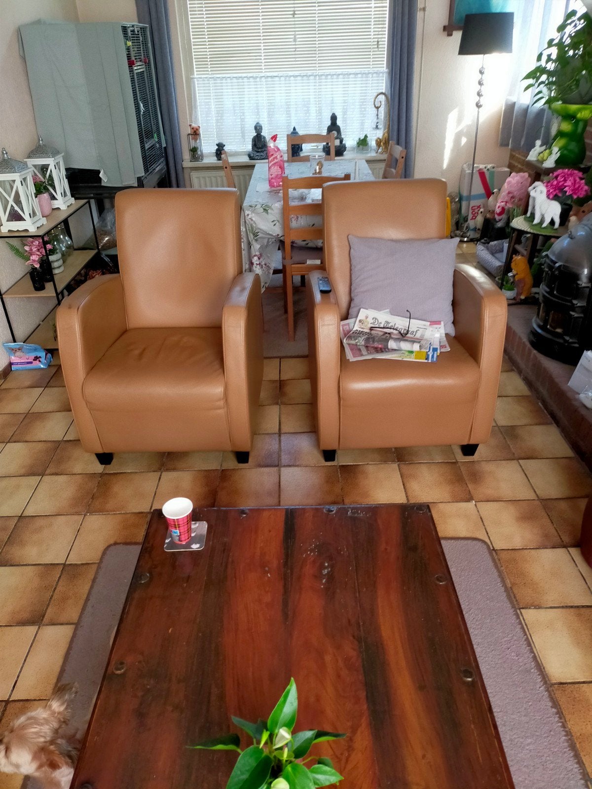 Set van 2 comfortabele leren fauteuils, Ophalen, Gebruikt, Klassiek, Comfortabel, 75 tot 100 cm