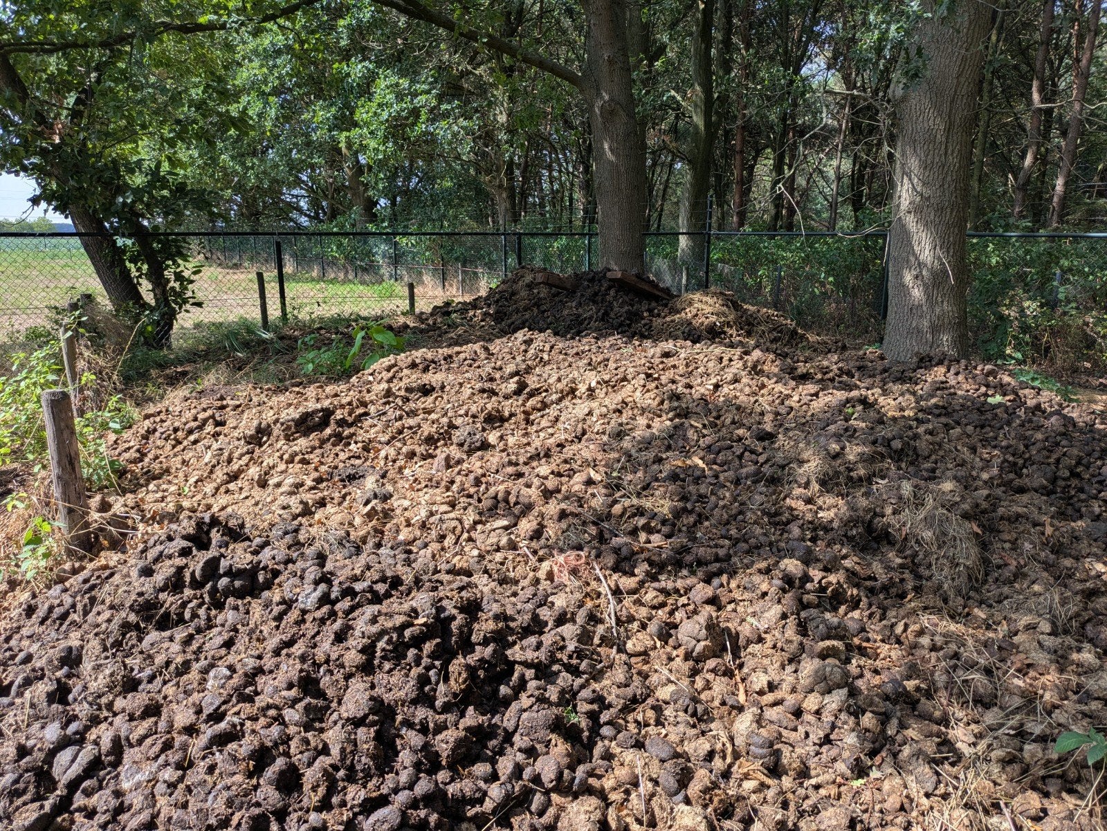 Verse paardenmest voor uw tuin, Ophalen