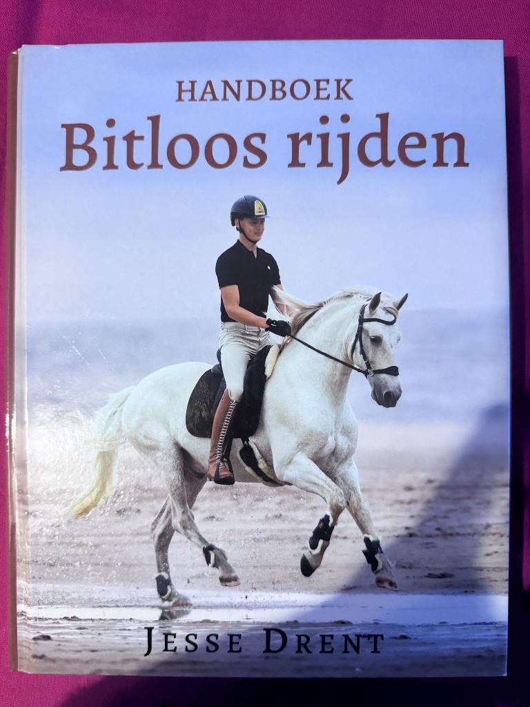 Handboek bitloos rijden, Ophalen of Verzenden, Zo goed als nieuw, Overige onderwerpen, Jesse drent