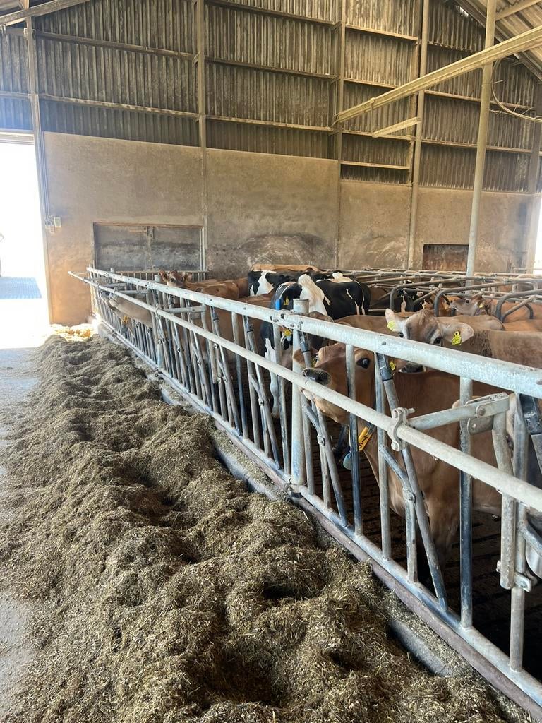 Anti voer/gras gooi buis, Dieren en Toebehoren, Toebehoren