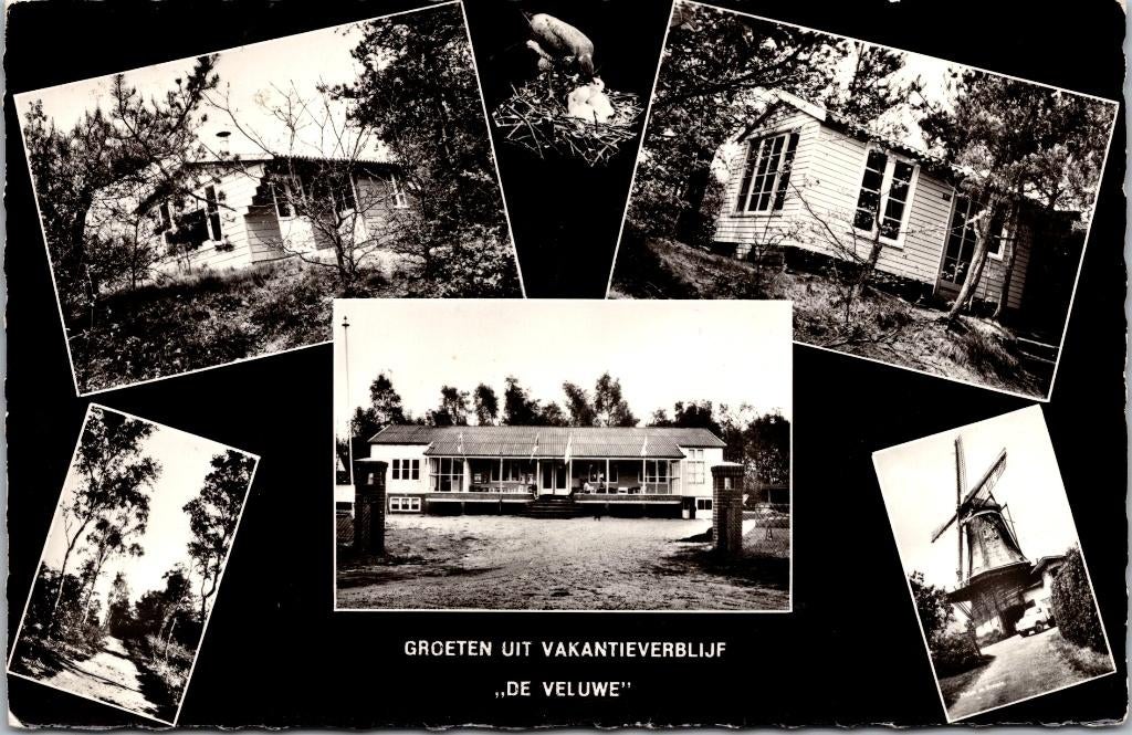 Groeten uit vakantieverblijf De Veluwe, Verzenden, 1960 tot 1980, Ongelopen, Gelderland