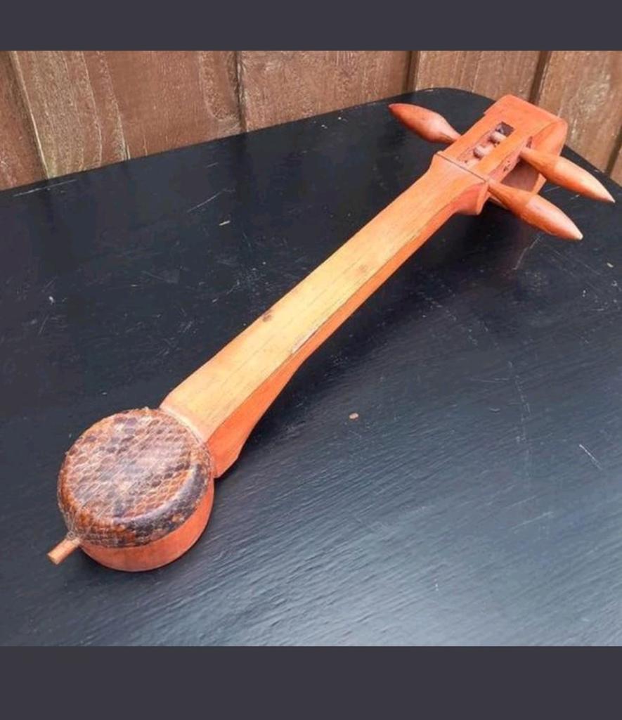 Uniek 2-snarig instrument met slangenhuid (50 cm), Antiek en Kunst, Curiosa en Brocante, Ophalen of Verzenden