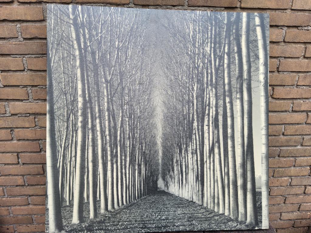 Schilderij, Antiek en Kunst, Kunst | Schilderijen | Klassiek, Ophalen of Verzenden