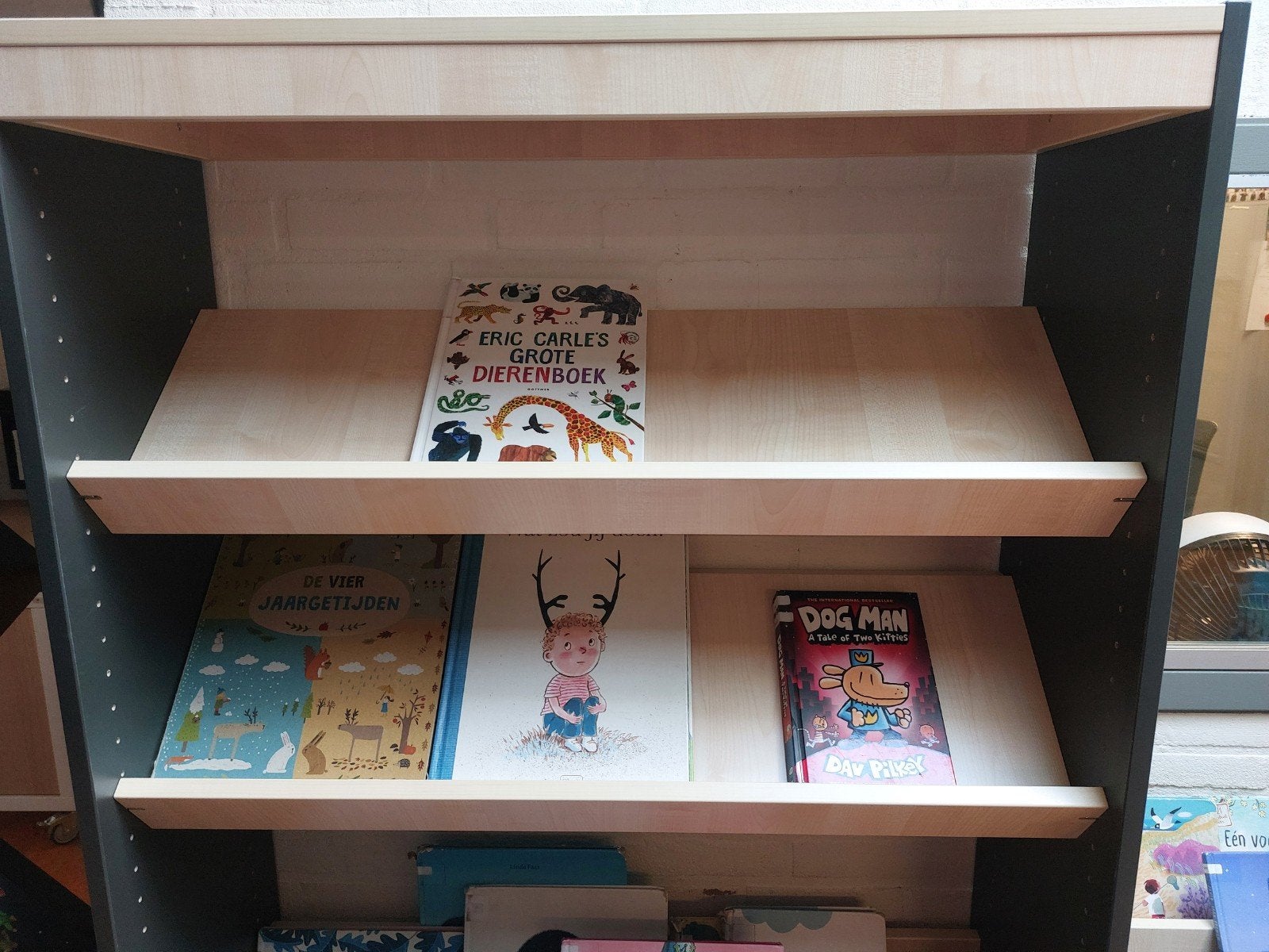 Boeken kast, Ophalen, 50 tot 100 cm, Zo goed als nieuw, 150 tot 200 cm