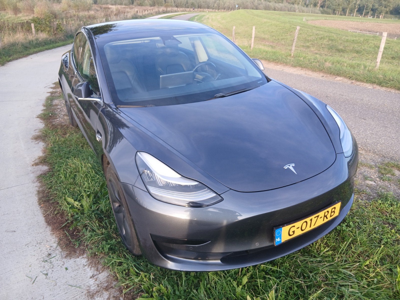Foto 7 van Tesla Model 3 2019 Grijs