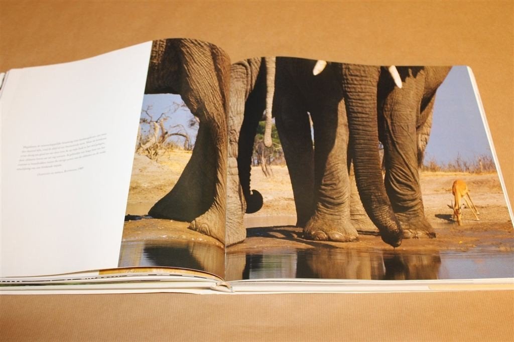 Into Africa — Frans Lanting Groot Fotoboek Afrika, Boeken, Ophalen of Verzenden, Gelezen, Fotografen
