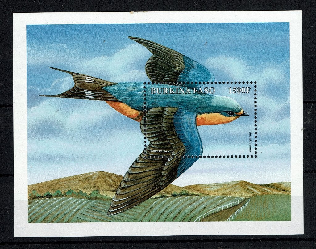 BURKINO FASO 1998 PF BLOK ZWALUWEN VOGELS BIRDS, Ophalen of Verzenden, Postfris, Dier of Natuur