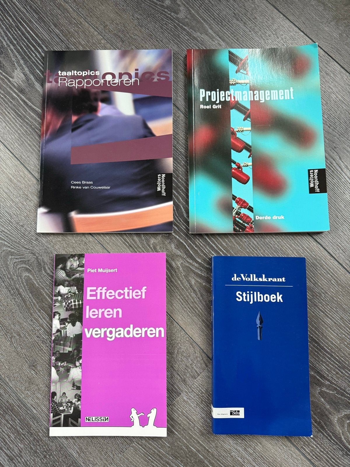 Boeken: Projectmanagement, Rapporteren, Vergaderen, Stijlboe, Boeken, Ophalen of Verzenden, Gamma, Gelezen, HBO