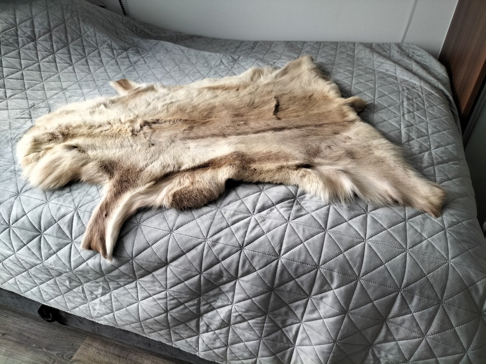 Prachtige rendiervacht - Natuurlijke decoratie, Huis en Inrichting, Ophalen, Zo goed als nieuw, Beige