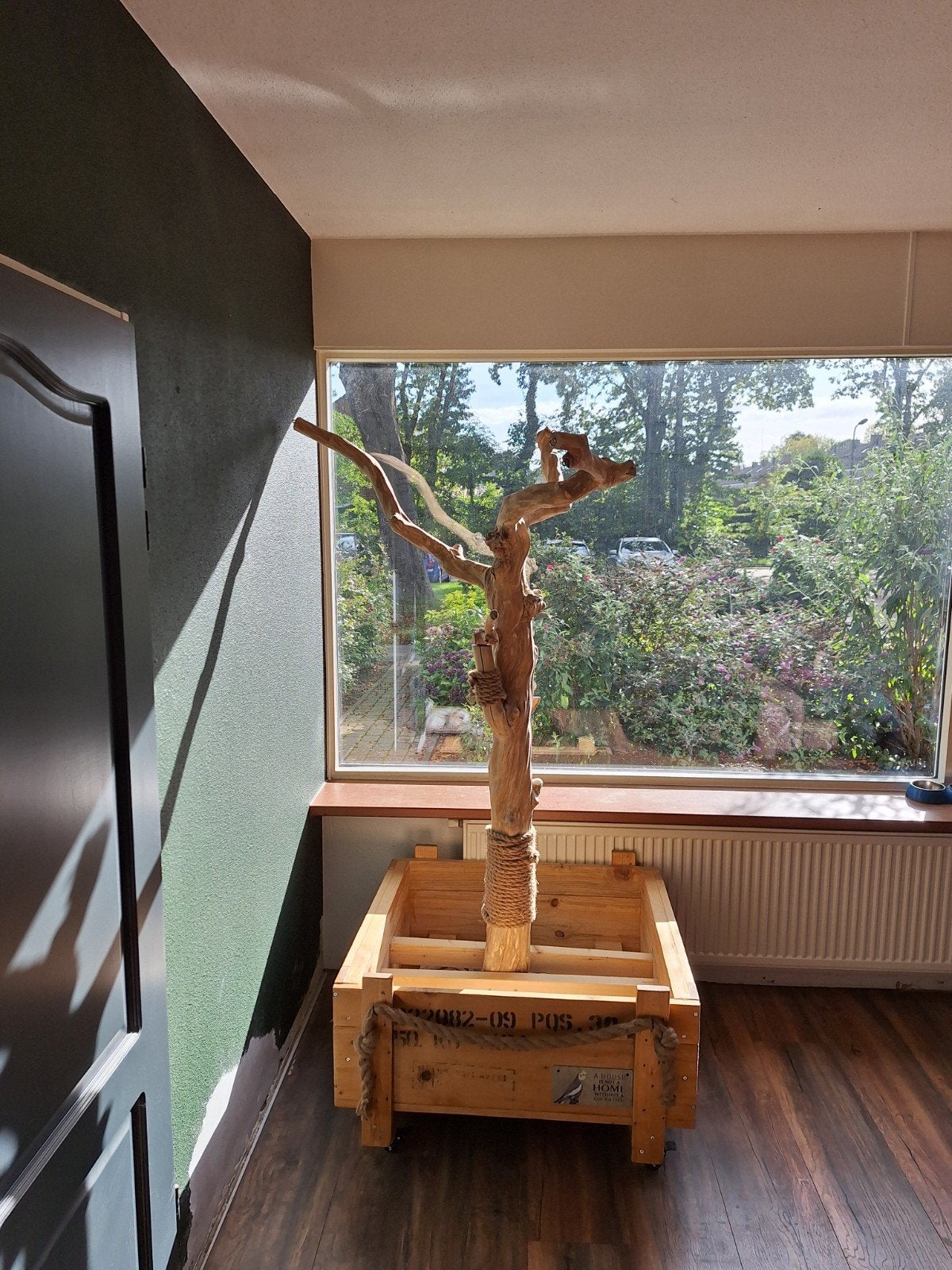 prachtig mooie vogelboom, Dieren en Toebehoren, Ophalen