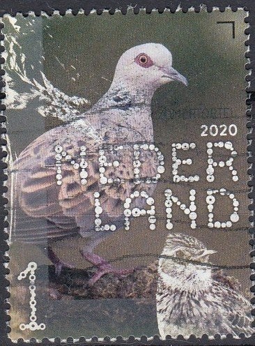 Nederland 10.29.2- 2020- Vogels - Zomertortel- G, Verzenden, Na 1940, Gestempeld