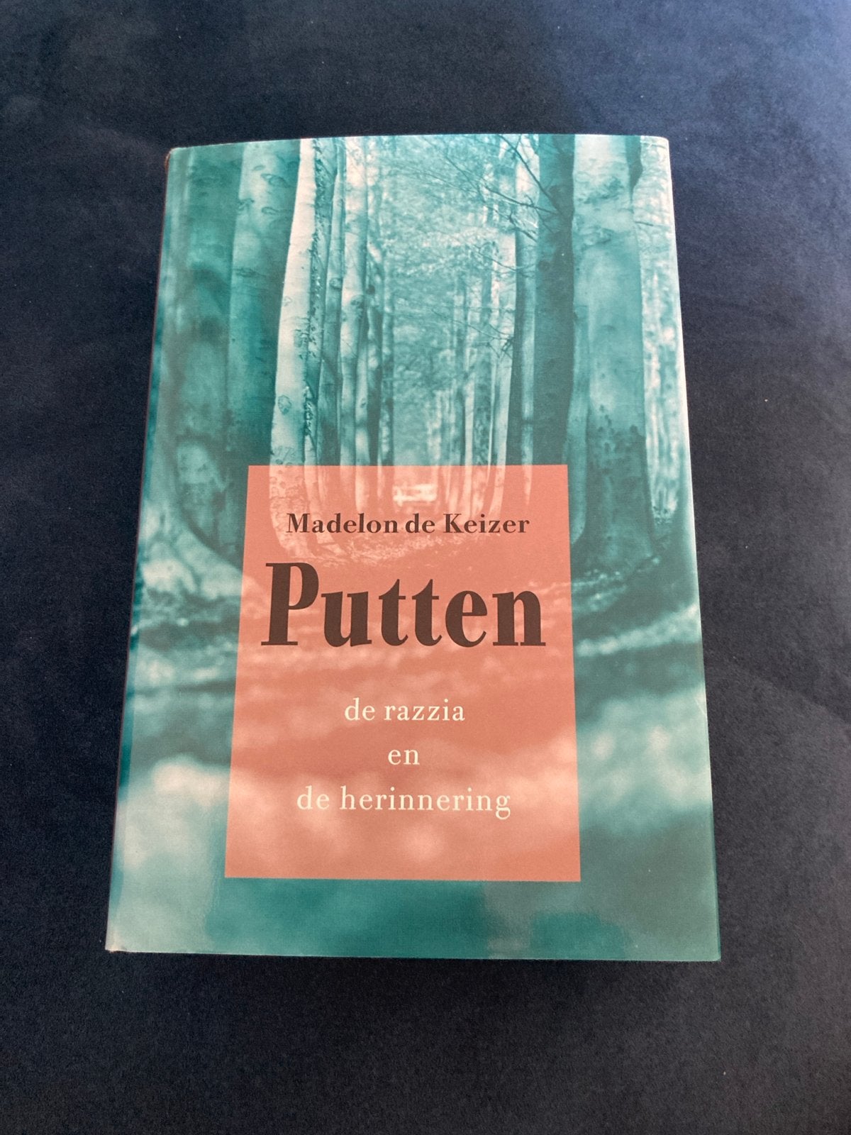 Putten: de razzia en de herinnering - Madelon de Keizer, Ophalen of Verzenden, 20e eeuw of later, Nieuw