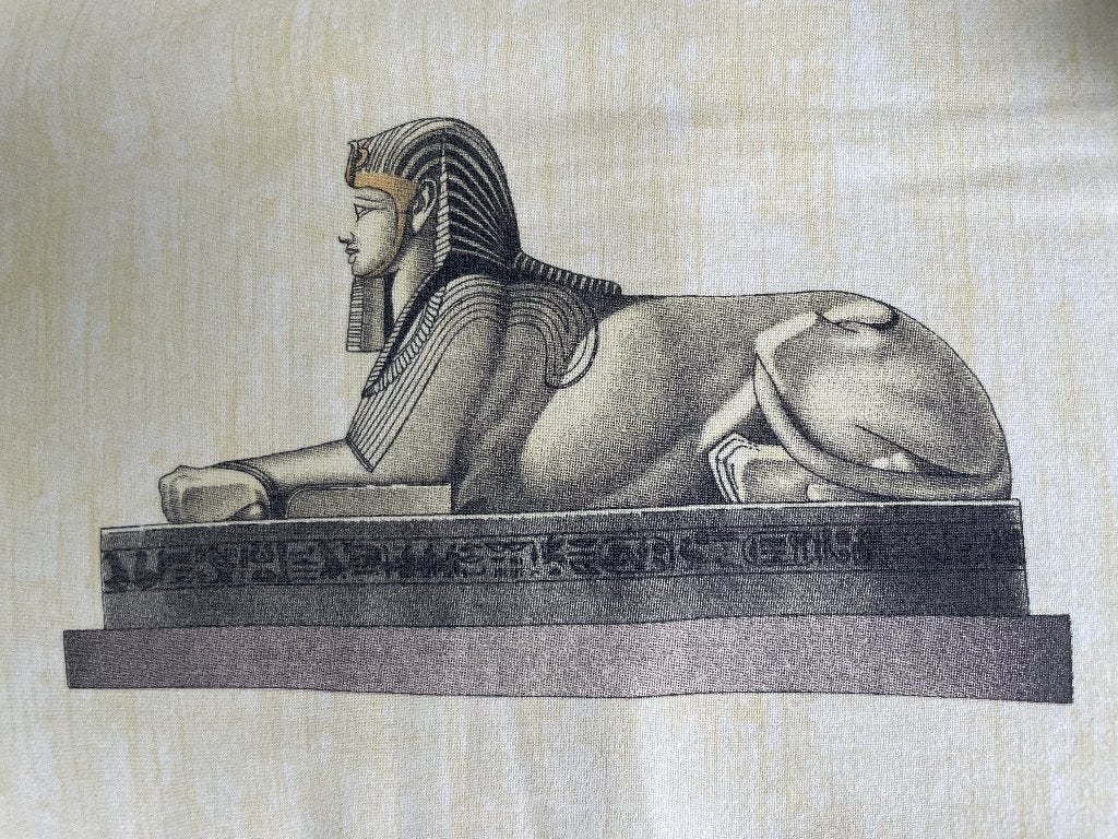 Eenpersoons dekbedovertrek Egypte!, Eenpersoons, Katoen, Ophalen of Verzenden, Zo goed als nieuw