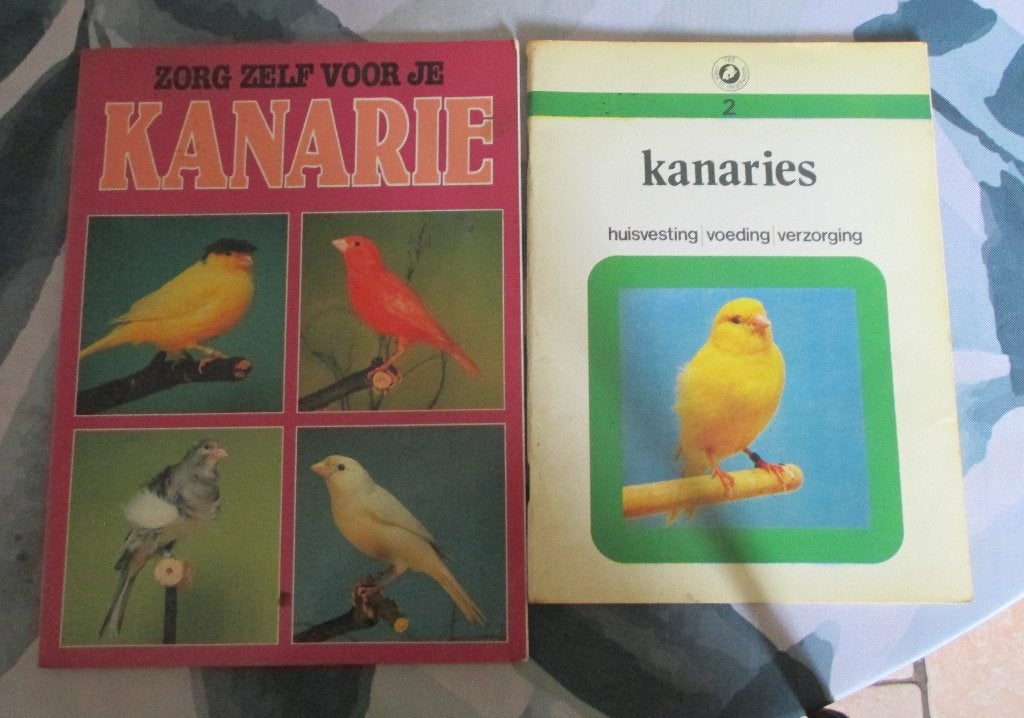 Kanarieboeken vogels, Meerdere dieren, Kleurkanarie