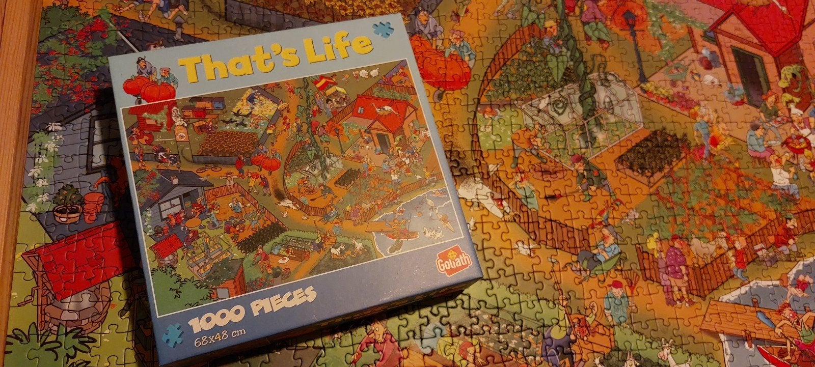 thats life 1000 stukjes, Ophalen, 500 t/m 1500 stukjes, Zo goed als nieuw, Legpuzzel