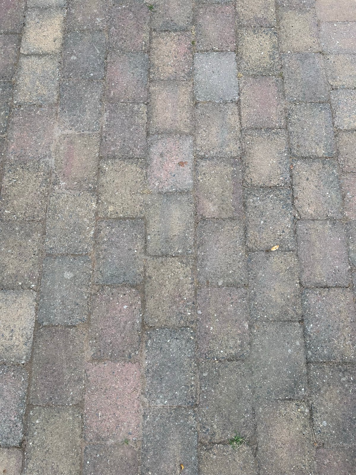 Gratis af te halen: Gebruikte klinkers (ca. 15-20m2), Ophalen, Gebruikt, Klinkers, 10 m² of meer