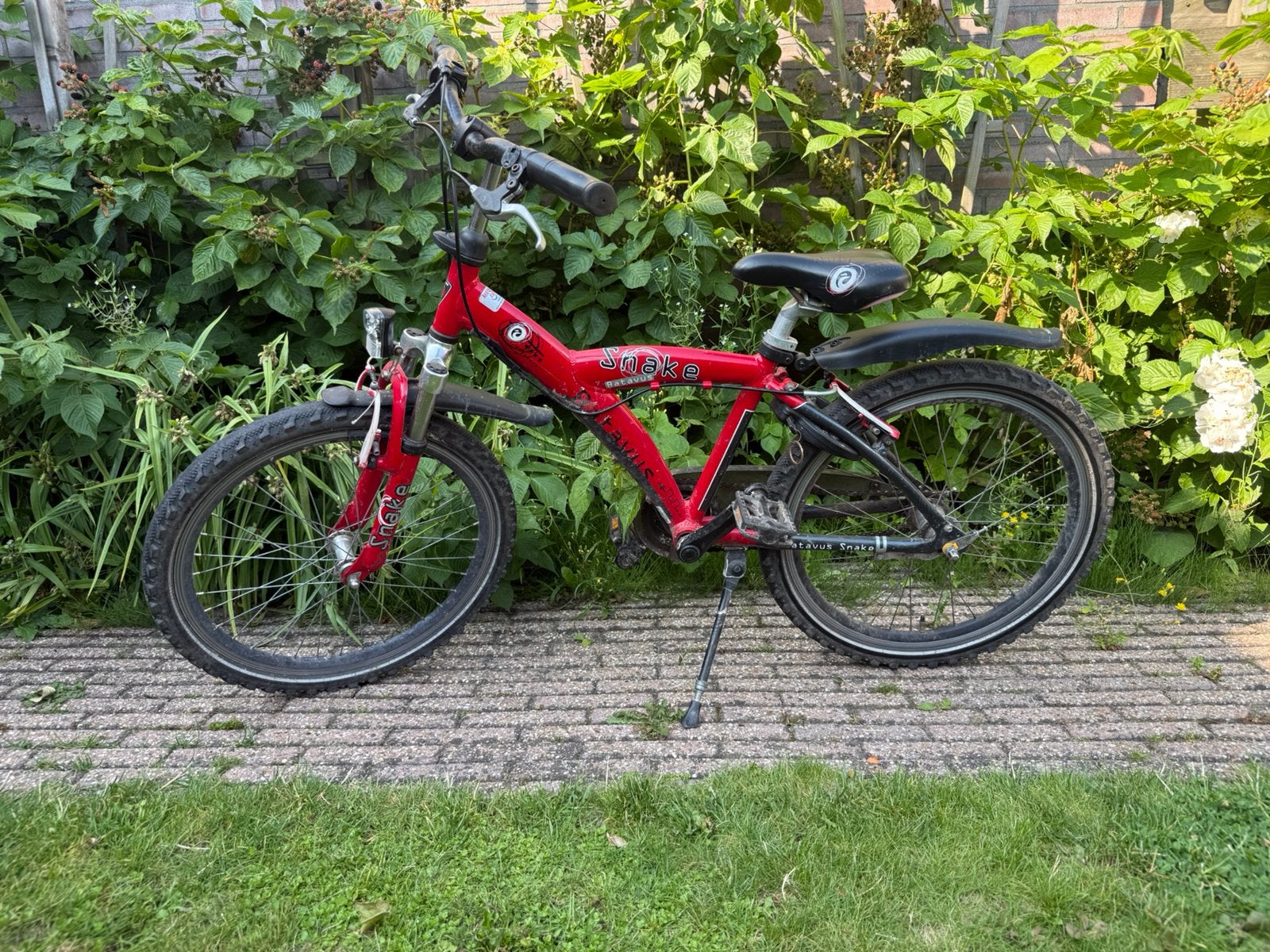 Batavus Snake 22 inch met versnellingen, Fietsen en Brommers, Ophalen, Terugtraprem, Versnellingen, Batavus