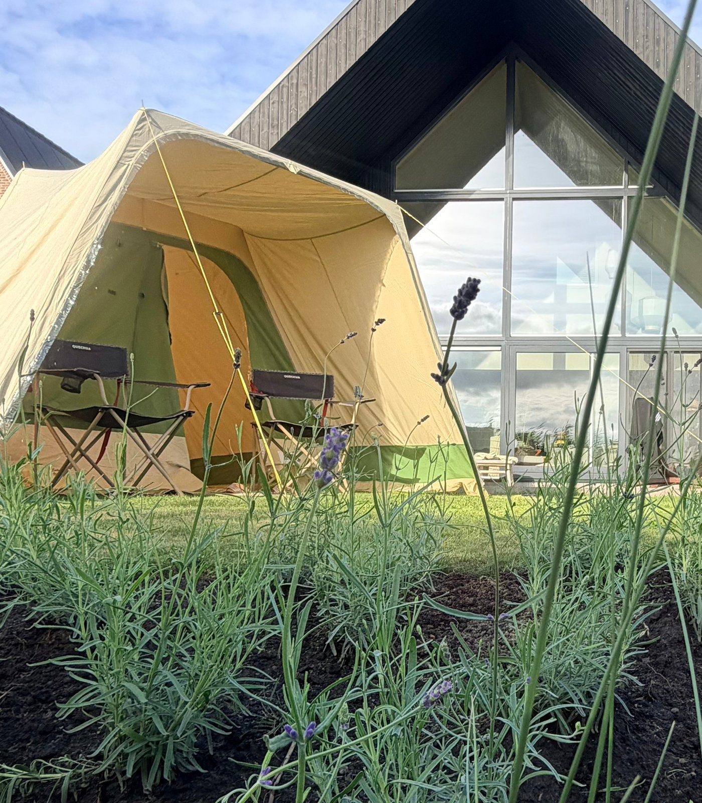 Japio tent 4 persoons Vrijbuiter Ten Cate kwaliteitstent, Caravans en Kamperen, Tenten, Ophalen, Gebruikt, Tot en met 4