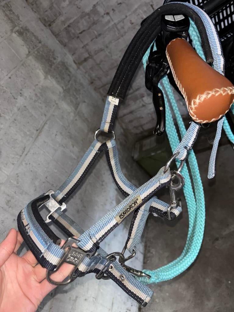 Eskadron halster + teugels maat p2 / pony, Dieren en Toebehoren, Ophalen of Verzenden, Zo goed als nieuw