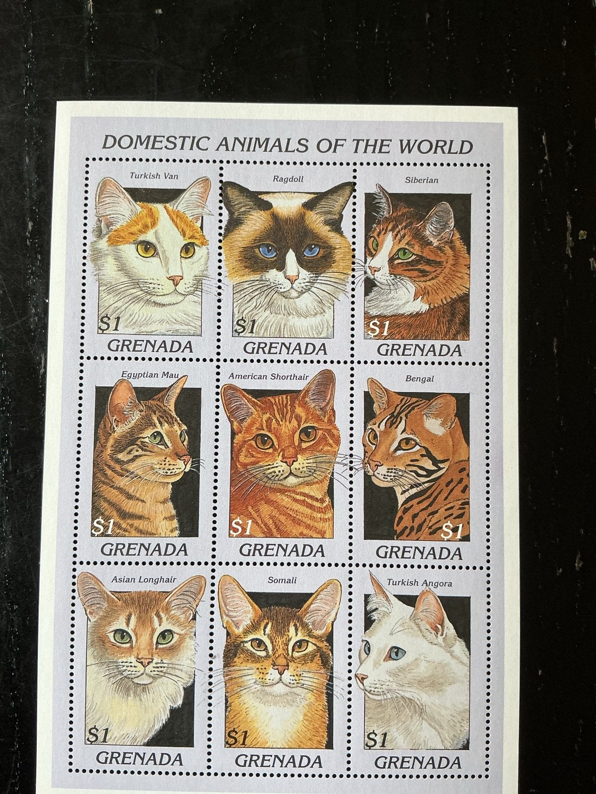 Grenada postzegelvel: Huisdieren van de wereld - Katten, Ophalen of Verzenden, Postfris, Dier of Natuur