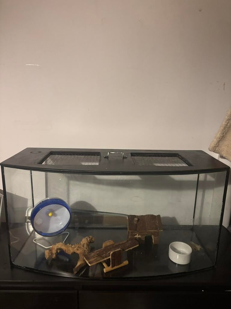 Terrarium incl. silent spinner en andere hamster toebehoren, Zo goed als nieuw, 75 tot 110 cm, Ophalen, Minder dan 60 cm
