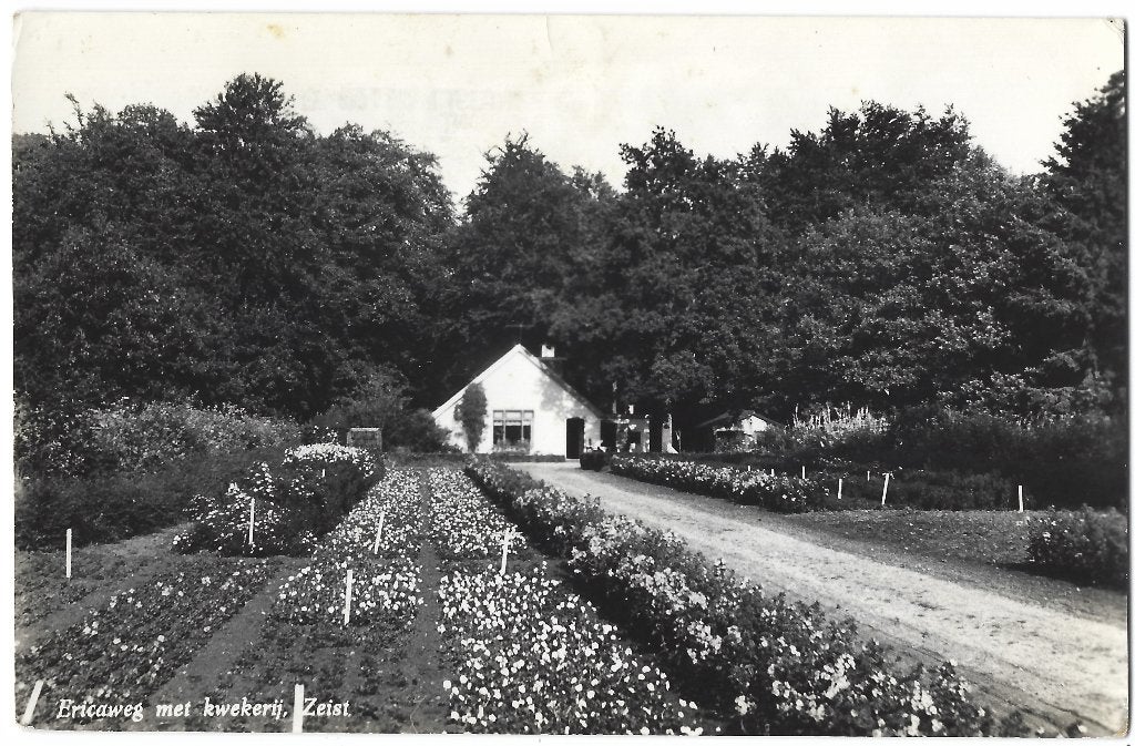Zeist, Ericaweg met kwekerij - Opruimingskaart, Verzenden, 1960 tot 1980, Gelopen, Utrecht
