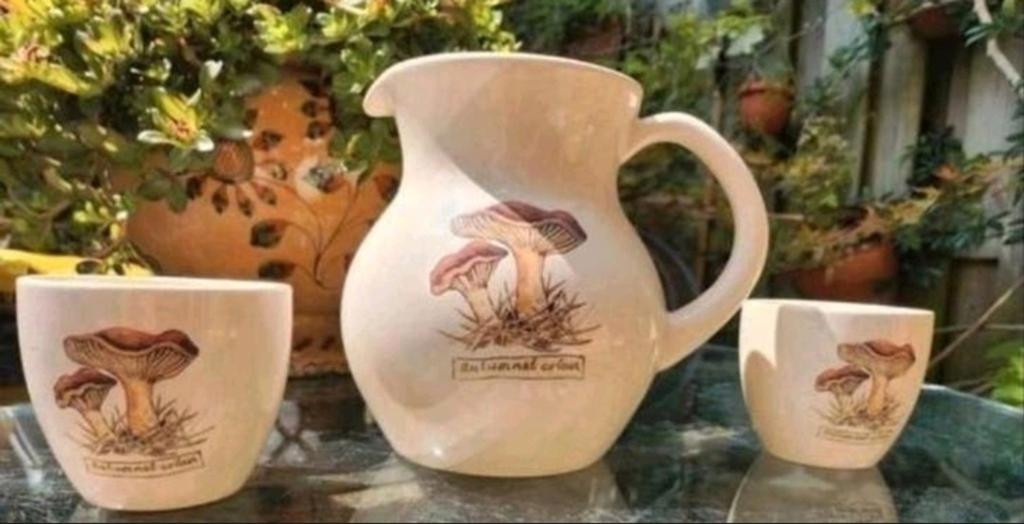Jet ter Steege Autumnal Colour, Huis en Inrichting, Keuken | Servies, Ophalen of Verzenden, Zo goed als nieuw, Overige stijlen