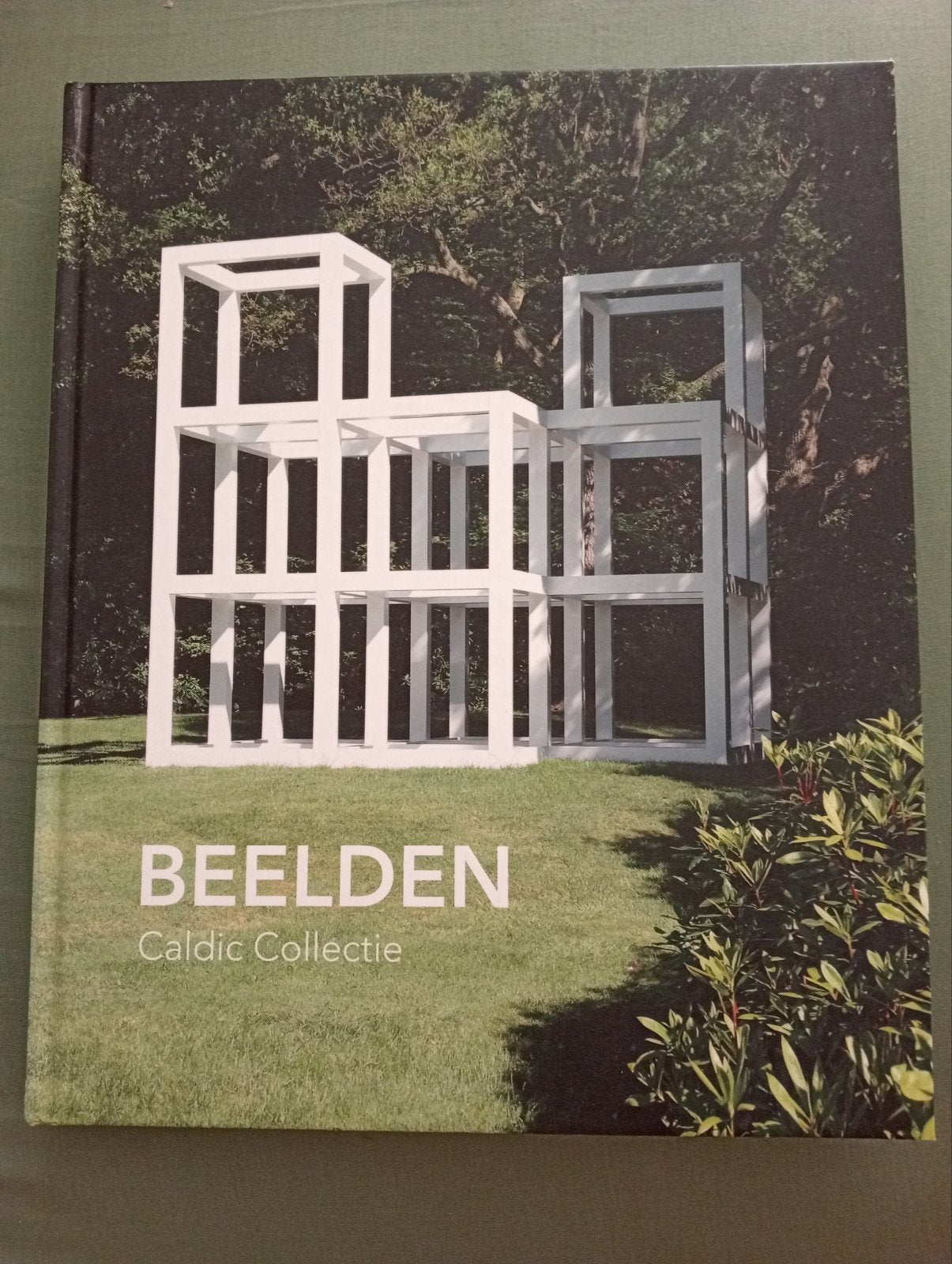 Beelden Caldic Collectie - Kunstboek, Boeken, Ophalen of Verzenden, Zo goed als nieuw, Fotografie algemeen, Diverse kunstenaars