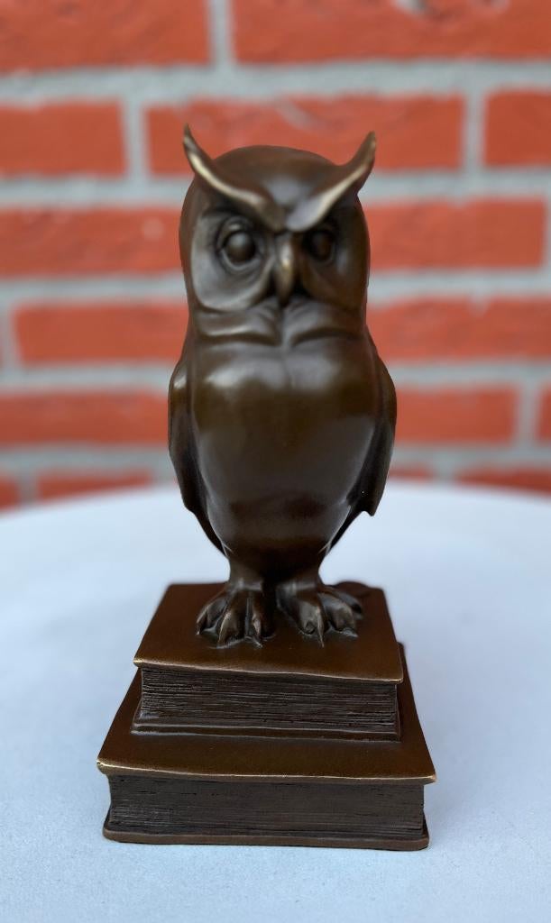Bronzen beeld van de wijze uil op de boeken., Overige onderwerpen, Ophalen of Verzenden, 20 - 50 cm, Beeld