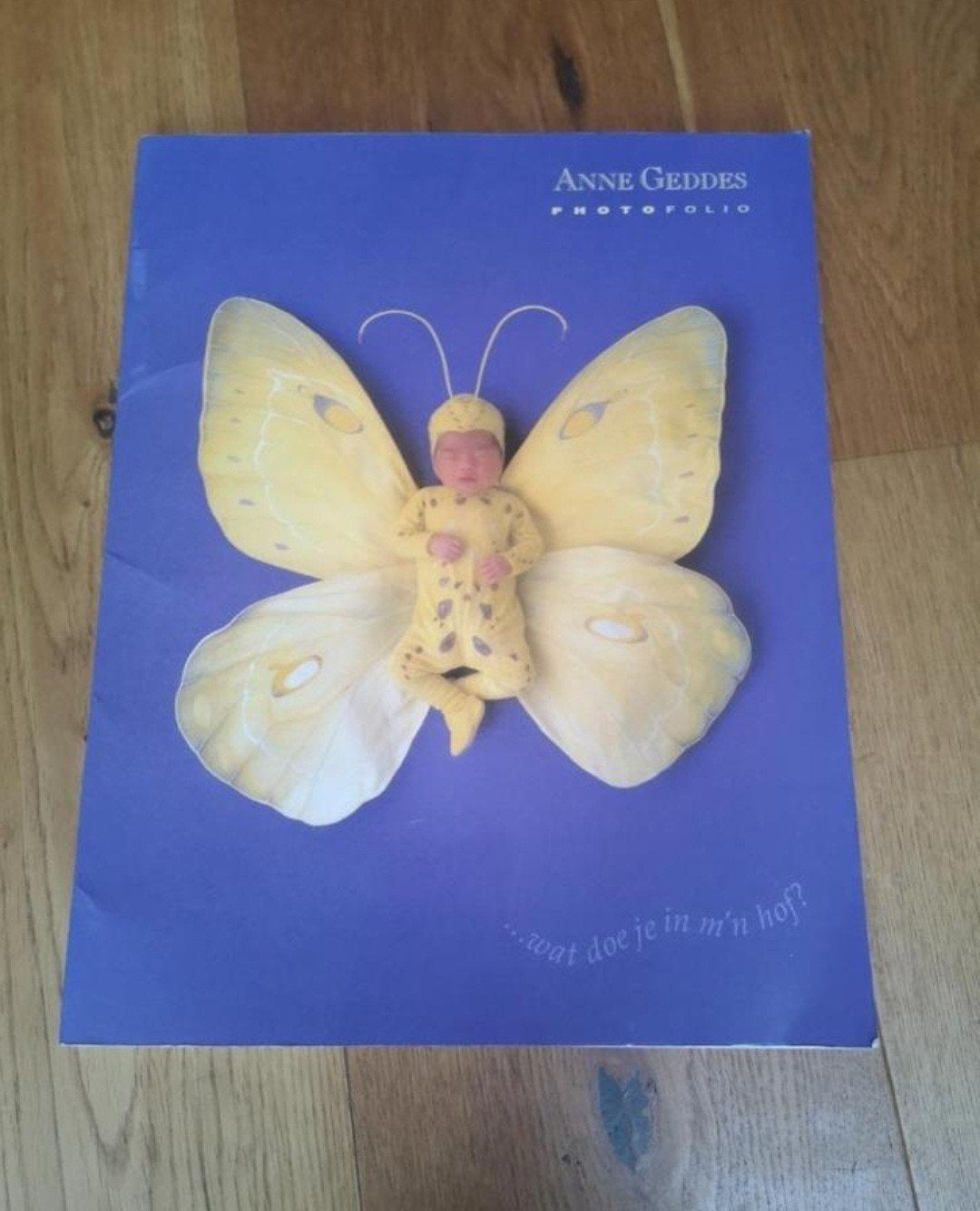 Anne Geddes wat doe je in mijn hof, Ophalen of Verzenden, Zo goed als nieuw, Overige onderwerpen